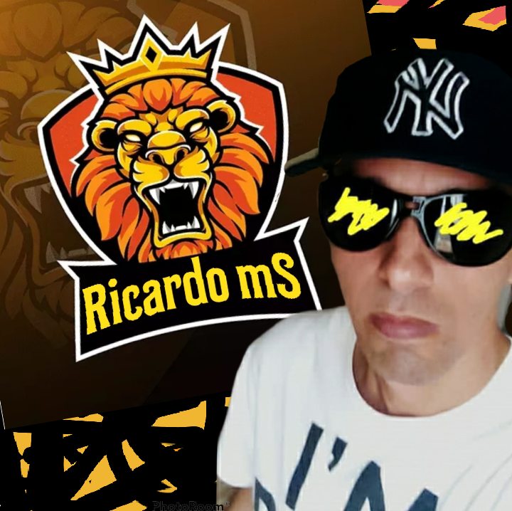 Dj Ricardo MS